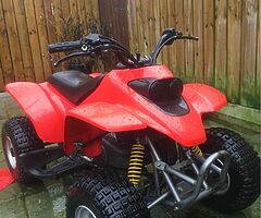 2009 SMC quadzilla 100cc