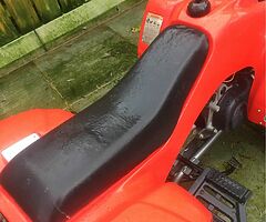 2009 SMC quadzilla 100cc - Image 6/10
