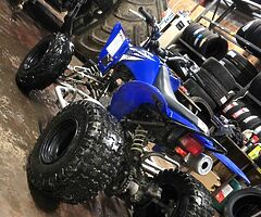 2009 Yamaha  Raptor 250