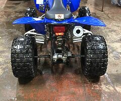 2009 Yamaha  Raptor 250