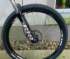 Vitus Nucleus