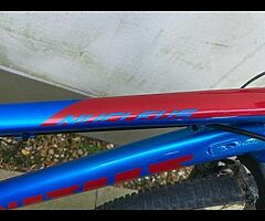 Vitus Nucleus