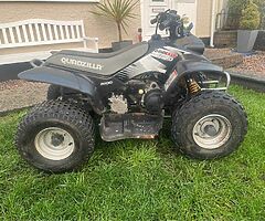 Quadzilla r100 - Image 4/4