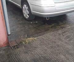 All Toyotas bought for cash - Image 5/10