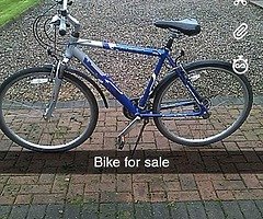 All iteams for sale - Image 7/10
