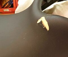 Triumph tiger front and passanger  seats - Image 6/7