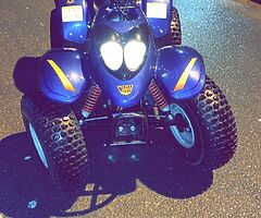 100cc quad hornet gx
