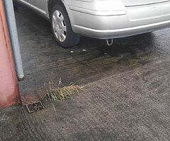 All Toyotas bought for cash - Image 10/10