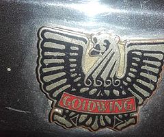 Goldwing