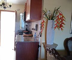 Apartamento amueblado