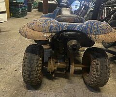 E-ton 50cc quad