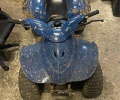 E-ton 50cc quad