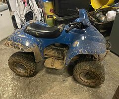 E-ton 50cc quad