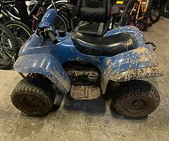 E-ton 50cc quad - Image 4/4