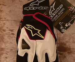 Motorbike  gloves