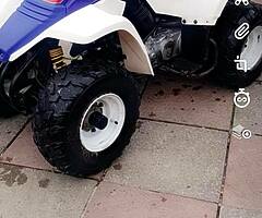 Suzuki lt80