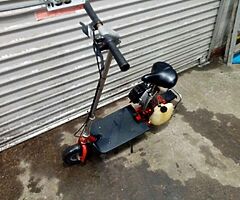 2010 Tomos Tami