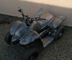 2021 Suzuki quadzilla 50cc