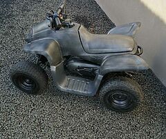 2021 Suzuki quadzilla 50cc