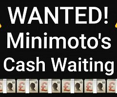 ⚠️ Minimoto's Wanted ⚠️
