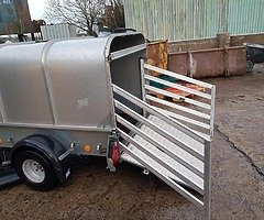 Ifor Williams sheep trailer 2007 - Image 4/10