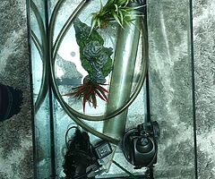 fish tanks *fishes are not inlcuded*