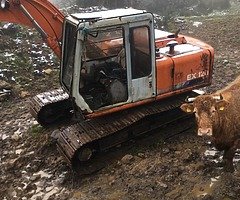 DIGGERS CALL ME ASAP