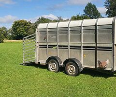 Trailers wanted - Image 3/8