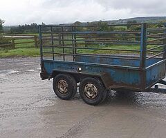 Trailers wanted - Image 7/8