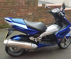 WANTED MOTORCYCLE [WINTER PROJECT]