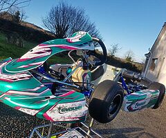 Tony kart cadet iame go kart and syngery carbon