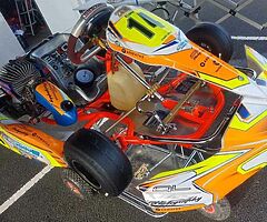 Tony kart cadet iame go kart and syngery carbon - Image 3/10