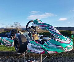 Tony kart cadet iame go kart and syngery carbon - Image 10/10