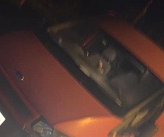 Vauxhall transit van for sale - Image 4/4