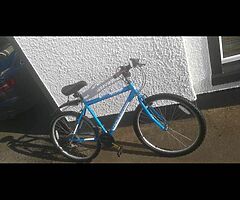 Mountain bike