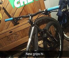 Saracen raw 2