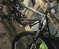 Saracen raw 2
