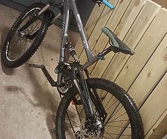 Saracen raw 2