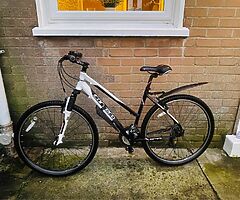Unisex Carrera Hybrid bike - Image 6/6