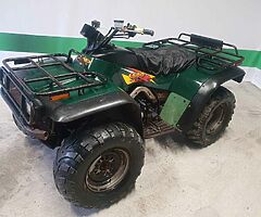 Suzuki arctic cat 500