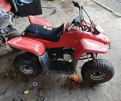 Quad - Image 6/7