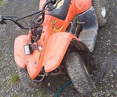 Quad - Image 7/7