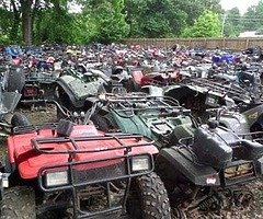 Quads wanted
