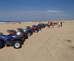 Quads wanted
