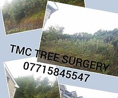 Trees and  hedges