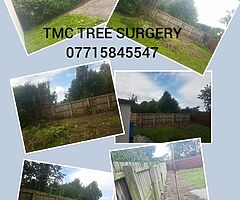 Trees and  hedges - Image 5/7