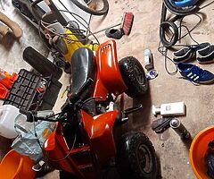 110cc kazuma quad