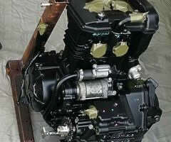 Kawasaki ex300 ninja 2015 engine