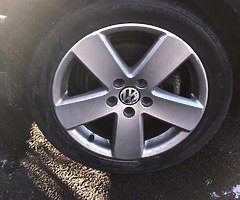 17” Monte Carlos