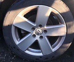 17” Monte Carlos - Image 4/5